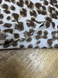 画像5: 生地：ポリエステル シフォンレオパードプリント（オフ白×ブラウン） (5)