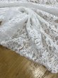 画像6: 生地：綿・ナイロン混／コットンコードラッセルレース（白） (6)