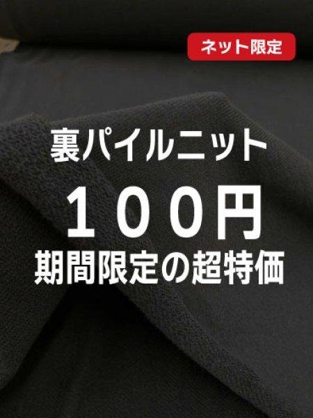 画像1: 生地：綿100% 裏パイルニット (1)
