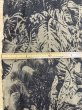 画像3: 生地：ボタニカル葉っぱ柄リネン（ベージュ／茶） (3)