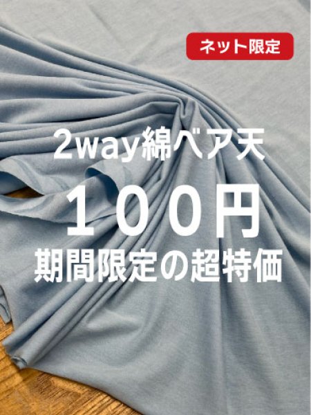 画像1: 生地：綿2way薄手ベア天竺ニット（水色） (1)